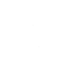 Logo Madeireira Nystron